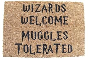 FastCraft Harry Potter Inspired Wizards Welcome Muggles Tolerated Door Mat