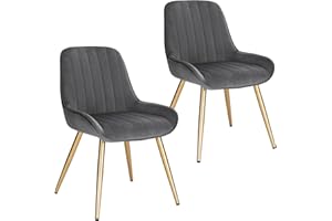 ‎LESTARAIN Lestarain 2 Stücke Esszimmerstuhl, Retro Küchenstuhl Wohnzimmerstuhl Sitzfläche Aus Samt Retrostuhl mit Metallbeine Besucherstuhl Stuhl für Esszimmer Wohnzimmer Küche Dunkelgrau