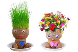TAOLE Muñeco Crece Pelo Hierba | 2 Piezas Maceta De Cabeza De Muñeca | Plantas Verdes De Escritorio | Planta De Cabeza De Hierba Que Crece En Mini Macetas De Bonsái | Plantas En Maceta Regalos Para Niños