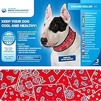 Kühlendes Halsband Red Western für Hunde Gr. XL 44 - 55cm x 7cm
