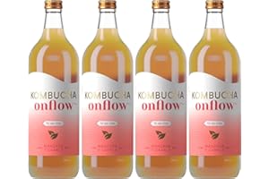 Kombucha Onflow - Té Kombucha Sabor Citricos, Manzana y Canela, Mango y Remolacha, Te Verde, Melon y espirulina (Manzana y Canela, Pack 4 botellas (1 Litro))