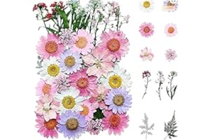 Kaluofan, fiori secchi naturali, fiori secchi, fiori secchi per gioielli fai da te, fiori secchi misti, decorazione per arte, fai da te, resina scrapbooking segnalibro
