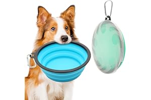 Weniubit Lot de 2 grandes gamelles pliables pour chien - 1000 ml - Gamelles en fer pour chien - Gamelles portables avec fermeture - Pour les voyages, la randonnée (bleu clair + vert clair)