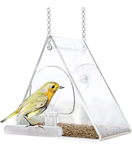 Classroom Window Bird Feeders: Engaging Nature Lessons for Kids