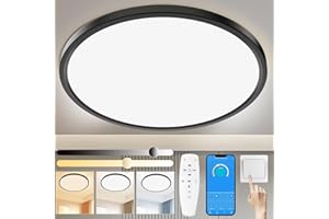 Yexati Plafoniera LED Soffitto 24W, 3200LM Plafoniera Dimmerabile con Telecomando 3000K/4500K/6500K Sottile Lampada da Soffitto IP54 Rotonda Ø30CM per Bagno Camera da Letto Cucina Soggiorno Nero