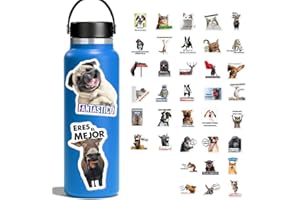 1STEP2DREAM Calcomanías divertidas de meme en español para estudiantes, calcomanías de recompensa para profesores, 51 unidades