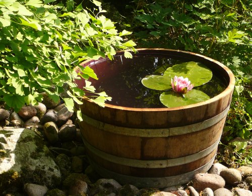 détail Temesso Demi tonneau de vin en Bois de chêne - Diamètre: 70cm, Hauteur: 38cm - Pot de Fleurs ou Mini étang
