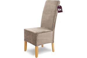 ‎SH SCHEFFLER-HOME LIVE HOMESTYLE Scheffler Home Stuhlhussen Puma Velano Stein-Beige 6er Set – Elastische waschbare Stuhlbezüge aus Samt für Esszimmerstühle und Polsterstühle – Edler Chenille Stuhlüberzug