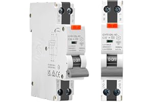 LE GARAGE Interruttore differenziale superimmunizzato classe A SI, con protezione da sovracorrente e perdite. RCBO spazio ridotto. (32A, 2P, 30mA)