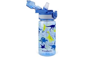 omedecal Gourde Enfant avec Paille 480ml, Anti Fuite Portable Bouteille D'eau Enfant Sans BPA & Verrouillage Sécurisé Fille Garçon pour l'école Sport - Dinosaure