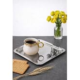 ARVALE 6 Adet L&uuml;x Kare Paslanmaz &Ccedil;elik Sunum Tepsini 21x21cm Kahve Servis Sunum Tepsisi & Tabağı (G&uuml;m&uuml;ş)