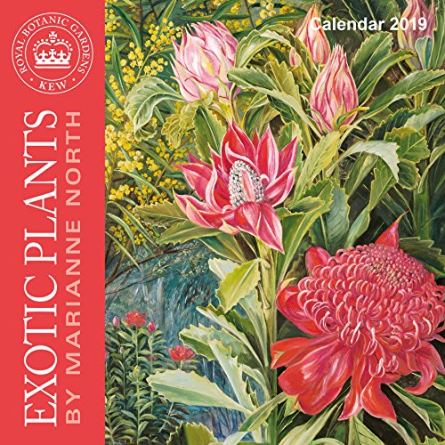 Download Kew Gardens - Exotic Plants by Marianne North 2019 Calendar Download Kew Gardens - Exotic Plants by Marianne North 2019 Calendar