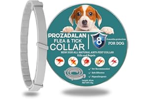 PROZADALAN Collar Antipulgas para Perros, 100% Natural Perro Collar Antiparasitario, 8 Meses de Protección para Perros, Ayuda a Cachorros, Perros Medianos y Grandes a Repeler Eficazmente Piojos, Pulgas y Plagas