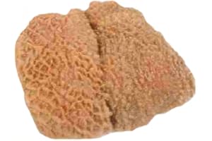 ‎MEINMETZGER GUTES BEWUSST GENIEßEN MeinMetzger Pansen vom Rind, schlachtfrisch, gut gereinigt, 2 Kilo