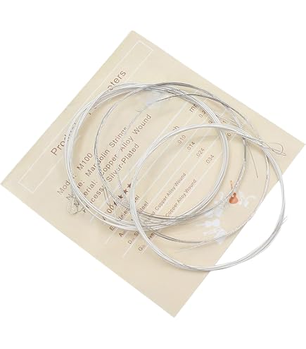 Tampura Pleine Taille Karuna Jeu De 4 Cordes Pour Tampura Homme - Cordes Qualité Inde Pour Chant Jeu Cordes Karuna