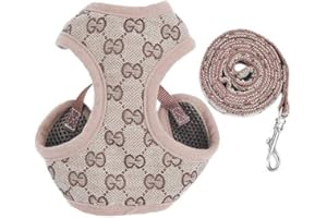 PUPPAL Dog Harness and Lead, Adjustable Soft Mesh Vest Harness Leash Set Mesh Padded Plaid Escape Proof Puppy Jacket for Boy Girl Pet Dogs for Puppies Dogs