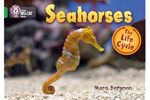 Seahorses: Band 05/Green (Collins Big Cat)