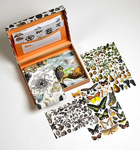 Natural History: Letter Writing Set / Briefpapier Set / Set de Correspondence (PEPIN LETTER WRITING SETS)