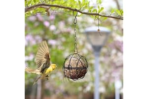 BBASILIYSD Mangiatoia da appendere per uccelli selvatici, supporto per palline grasse con ganci in metallo, mangiatoia per palline grasse, fringuelli, pettibini, passeri e molti altri uccelli selvatici