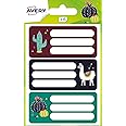 Avery Book Labels, Name Labels, School Labels, Notebook Labels, Labels for School 76 x 34 mm, 15 Labels Per Pack, Fiesta Designs