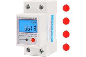 MIRTHBUY LCD Digitale Stromzähler 5(80) A 220V B Geeicht Wechselstromzähler Hutschiene KWh Zähler 1-phasiger 2-poliger 2P-DIN-Schienen-Stromzähler mit Reset-Knopf