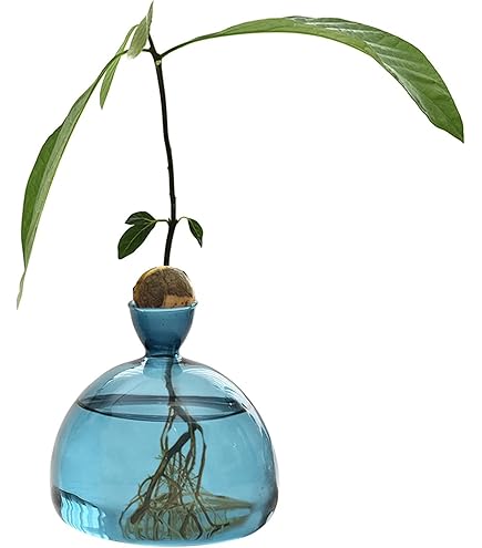 FLYING-Vase En Verre à Fleurs Pour La DéCoration De La Maison à La Main