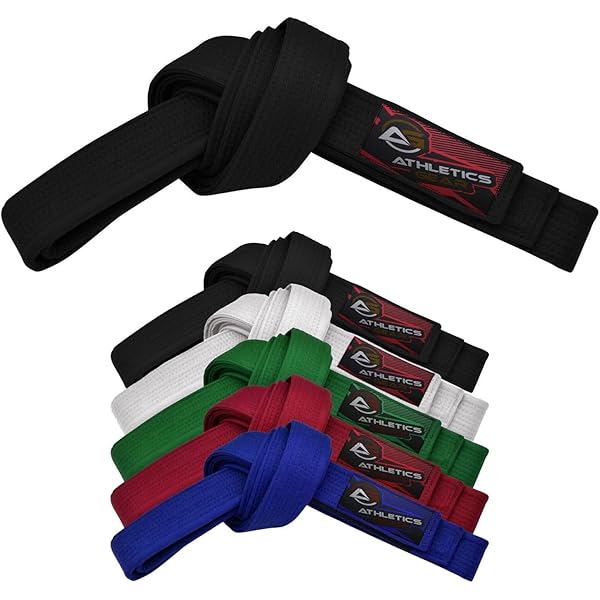 TANZEQI Aangepaste Borduurwerk Zwarte Riem voor Vechtsporten Taekwondo Karate Moodukwan Custom Black Belt Naam Vintage Wash Belt, Zwart, 280cm