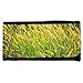 Produktbild Portemonnaie Geldbörse Brieftasche // M00155176 Grassamen Goldene Samen Lange Seeds // Large Size Wallet