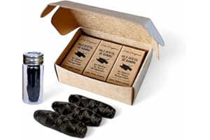 GENÉRICO Bambus-Zahnseide mit Aktivkohle. Mikroplastikfrei, ohne PFAS, ohne Fluorid, BPA-frei, biologisch abbaubar, natürliche Minze, im Glasfläschchen (3er-Pack)