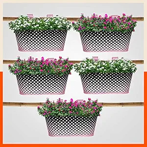 Patio by Bathla - Dia Hanging Metal Pot Holders/Planters for Balcony/Garden |Corrosion Resistant with Detachable Double Hooks |Blush - Set of 5