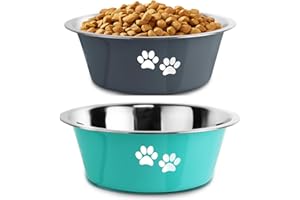 YUDANSI 860ml Dog Bowls 2 Pack Small Medium Dogs Feeding Bowls Food Water Bowls with Non-Slip Silicone Sole, Stainless Steel Dog Dishes Elevated Raised Pet Feeder