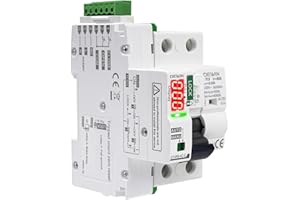 DEWIN 40A 30mA Salvavita Riarmo Automatico con display a LED 2P AC230V Differenziale Riarmo Automatico Salvavita RCCB Interruttore Riarmo Automatico(30mA Type AC)