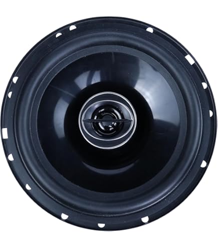 Pioneer carrozzeria Powered Subwoofer TS-WX110A TS-WX110A: Buy