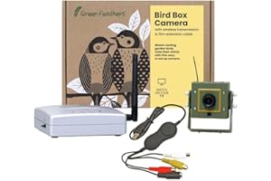 Green Feathers Wireless Bird Box SD 700TVL Camera with Night Vision, Receiver and USB Connector- Record To PC, Motion Detection, Garden Wildlife Kit