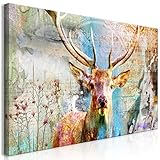 STABILE UND LEICHTE KONSTRUKTION: Lichtbeständig, strapazierfähig, robust, intensive Farbgebung, hohe Farbbrillanz, geruchlose Verarbeitung & vieles vieles mehr. Wir sprechen nicht nur von Qualität - Wir leben Sie in unseren Produkten