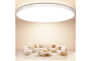 Swoieltr Plafoniera LED Soffitto 30 cm da Bagno, 24W Lampada da Soffitto 4000K Lampadario Cucina Moderna 2400LM Ultra-Sottile Plafoniera LED Camera da Letto IP44 per Soggiorno, Corridoio, Cantina