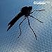 Magneto Mesh Screen Mosquito Net for Windows