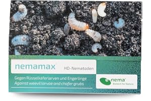 Dickmaulrüssler & Engerlinge ab 8°C bekämpfen mit nemamax® HD-Nematoden | 25 Mio. für 100 m² | Nematoden von e-nema