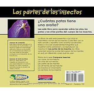 Las Partes de los Insectos = Bug Parts (Comparar insectos / Comparing Bugs)