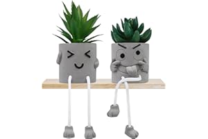 WOLTOY 2 Pcs Plastic Fake Plants with Cement Potted, Artificial Plants Indoor, Small Artificial Plants in Pots, Mini Fake Succulents Plants for Office Desk Bedroom Bathroom Home Decoration Accessories