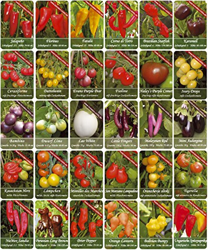 Tomaten Samen – 15 Stück – Nonna Antonia – Fleischtomate - 4