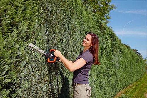 Gardena 08877-20 Heckenschere Accu EasyCut Li-18/50 - 2