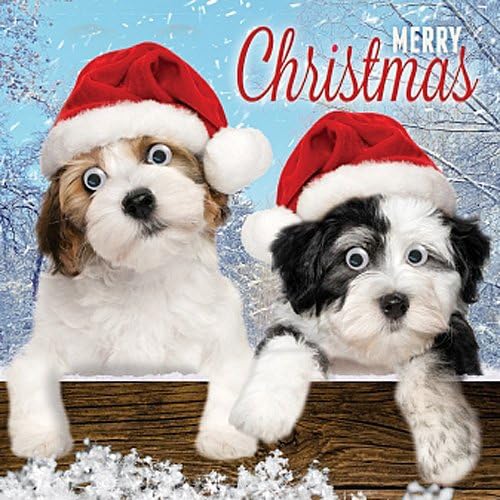 Christmas Puppies in Santa Hats Single Xmas Card 3D Goggly Moving Eyes