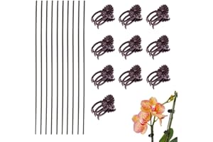 LEEQ 20 Pièces Pince à Plante et Support Stick - Clip d'Orchidée Plastique, Attache Tuteur pour Plantes Grimpantes