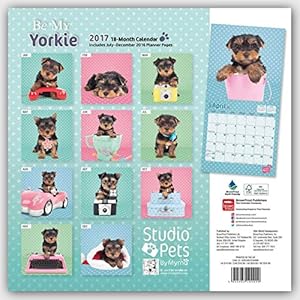 Be my Yorkie - Yorkshire Terrier 2017 - 18-Monatskalender: Original Myrna-Kalender [Mehrsprachig] [Kalender]