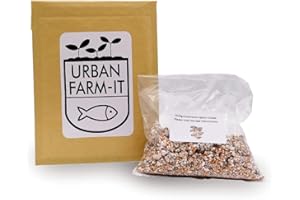 Urban Farm-It Oyster Mushroom Spawn (Gold) 100ml | Fresh, Fast Growing Grain Spawn | Gardening Gifts for Women, Men & Kids | Fun, Easy to Use & Delicious to Eat | Ready to Inoculate