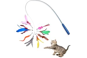 JIUHAO Cat Fishing Rod Toy With Retractable Teaser - Interactive Wand Toys Flirt Pole for Indoor Cats, Adult Kitten Play, Exercise, Activity & Fun - 8 Pcs Replacement Refills