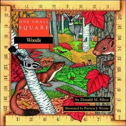 Preisvergleich Produktbild One Small Square: Woods