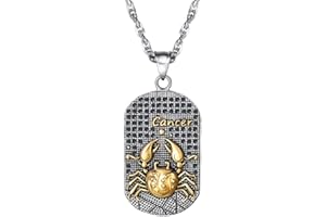 PROSTEEL Anhänger Halskette, Sternbilder Sternzeichen Dog Tag Erkennungsmarke Anhänger mit Kette, Edelstahl Horoskop Astrologie Halsschmuck für Herren