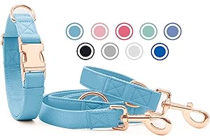 HEYDOGGY Weich Leder Hundehalsband und Leine (2m) Set - 3-Fach Verstellbar Hundeleine mit Halsband, Stilvollen Rose Gold Metall Schnalle & Nylon Hund Leinen für Welpen Kleine Mittlere Große Hunde HellBlau,XS